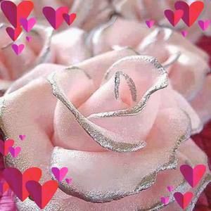 Meet your Posher, Armando